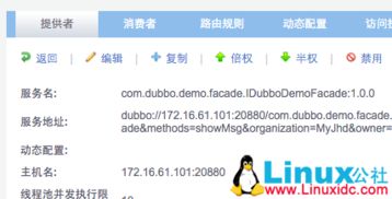 解決Dubbo無法訪問遠程ZooKeeper已注冊服務(wù)的常見問題與互聯(lián)網(wǎng)域名注冊服務(wù)的關(guān)系探討