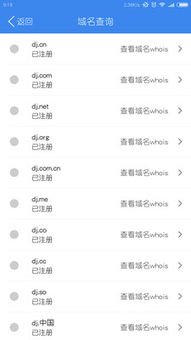 點(diǎn)擊網(wǎng)絡(luò) 解析互聯(lián)網(wǎng)域名注冊(cè)服務(wù)的價(jià)值與未來(lái)