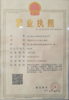 連云港金云網(wǎng)絡(luò)科技 聚焦互聯(lián)網(wǎng)域名注冊(cè)服務(wù)的專業(yè)先鋒